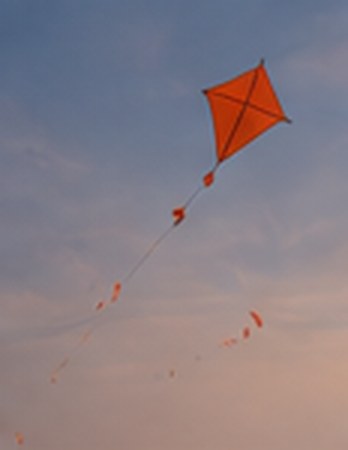 A kite in an open sky